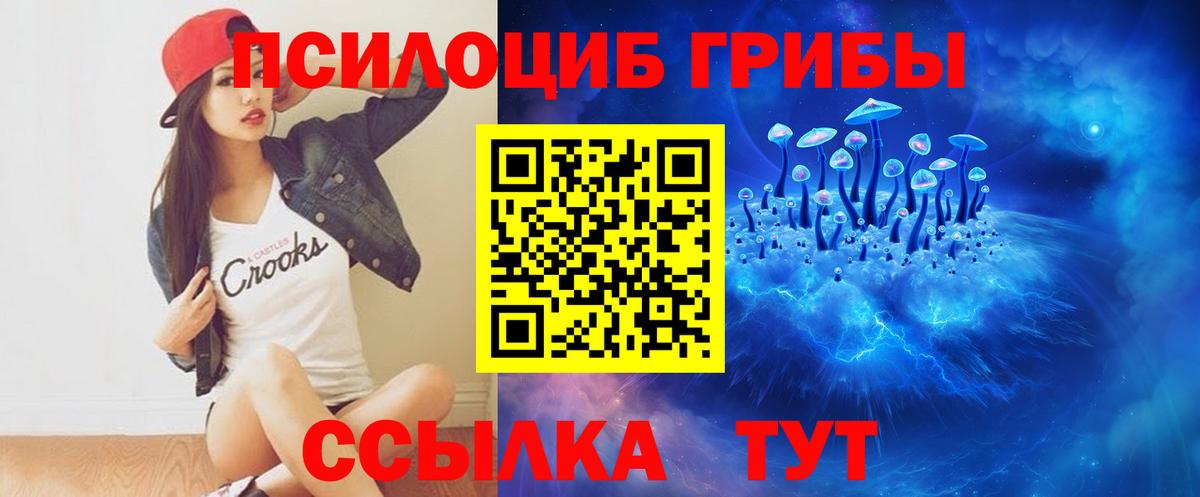 Галлюциногенные грибы GOLDEN TEACHER Менделеевск