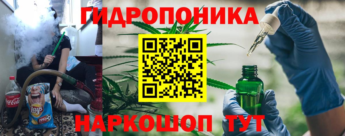 Бошки Шишки план Менделеевск